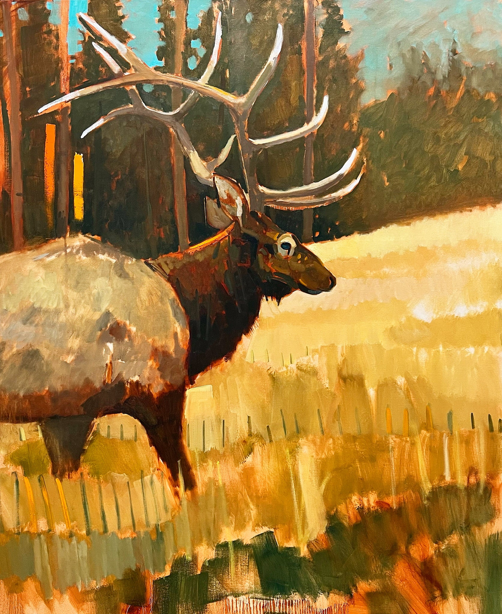 Pine King