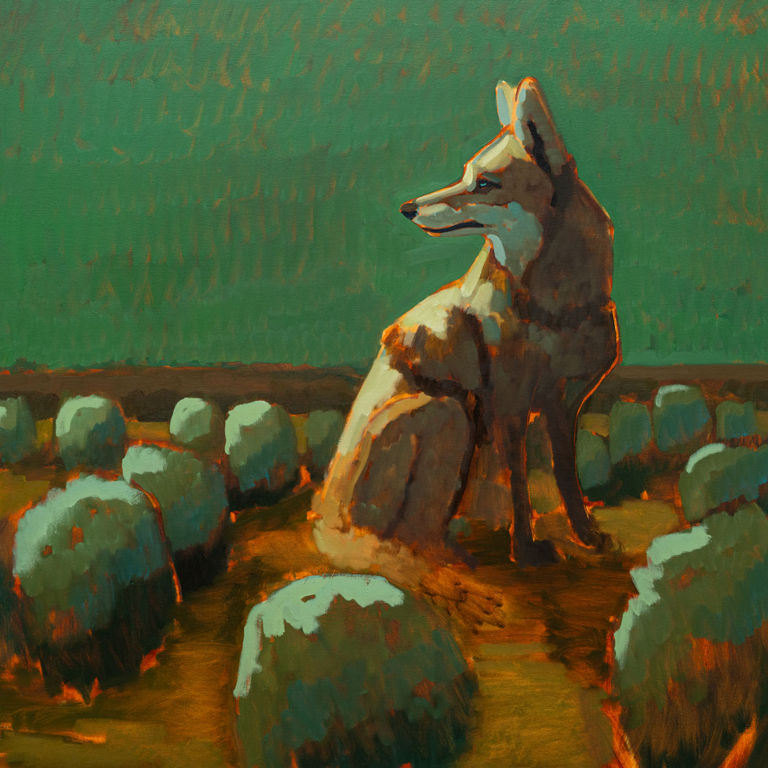 Coyote Canyon