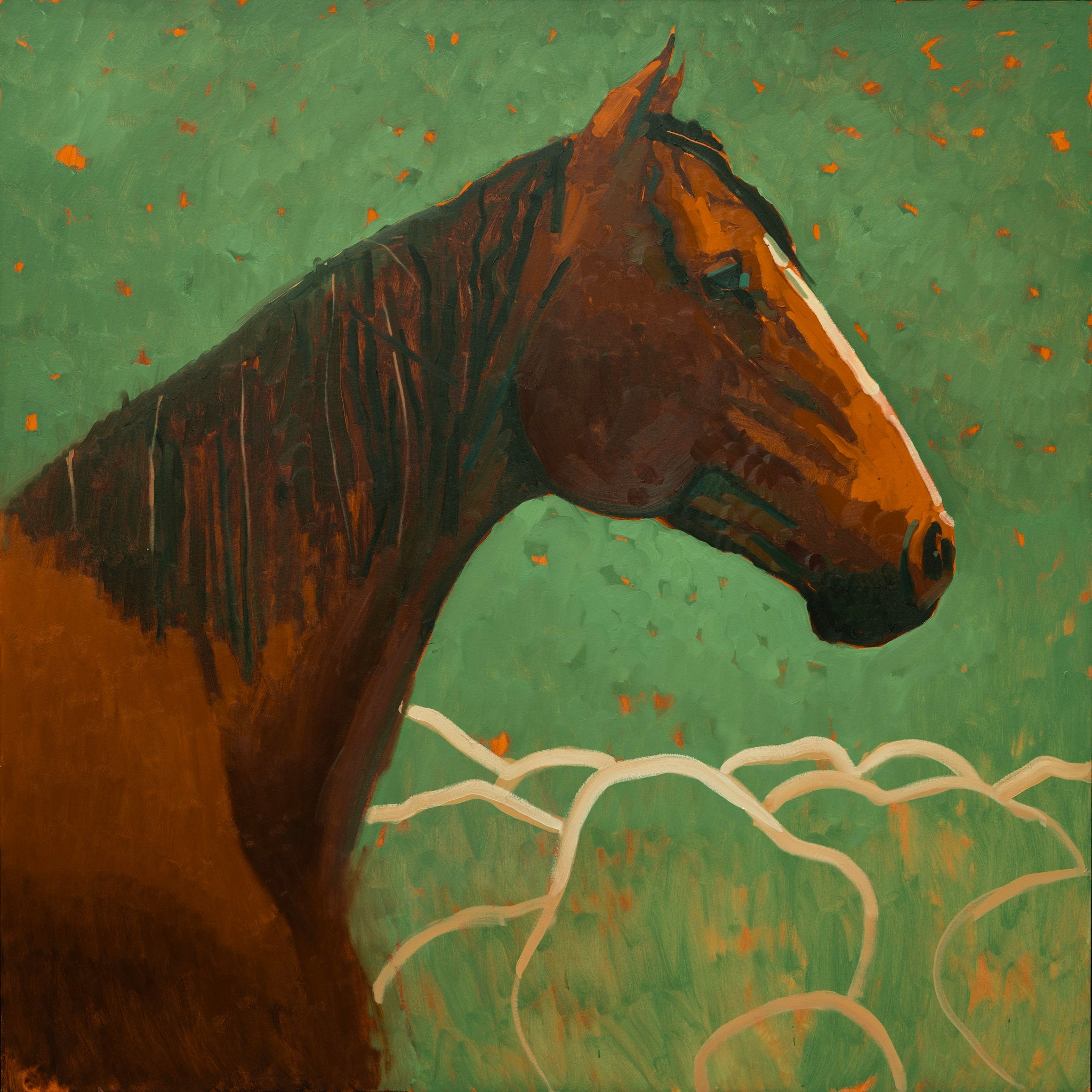 Rope Horse
