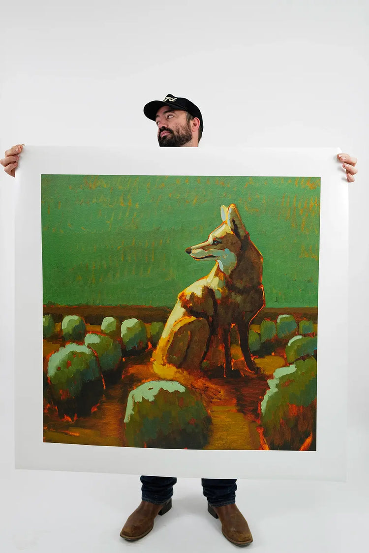 Coyote Canyon