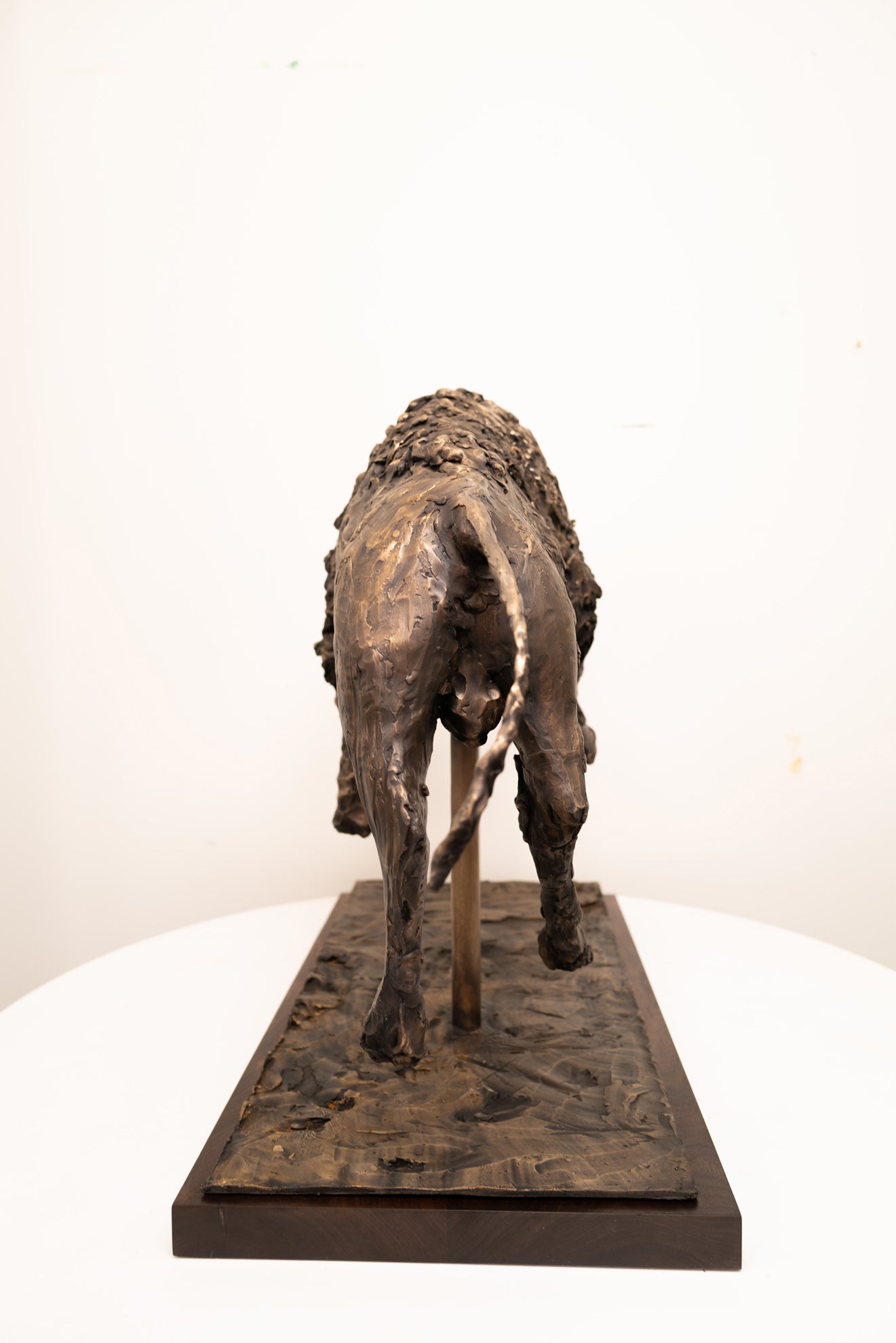 Samson Bronze