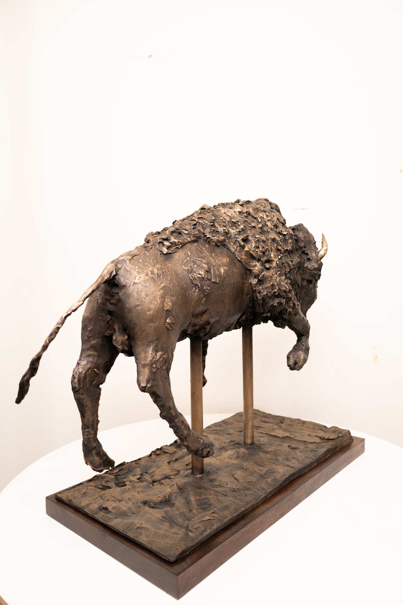 Samson Bronze